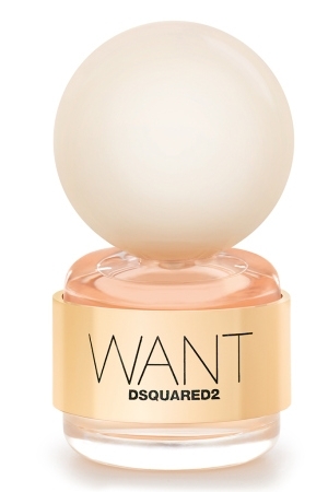 dsquared-want