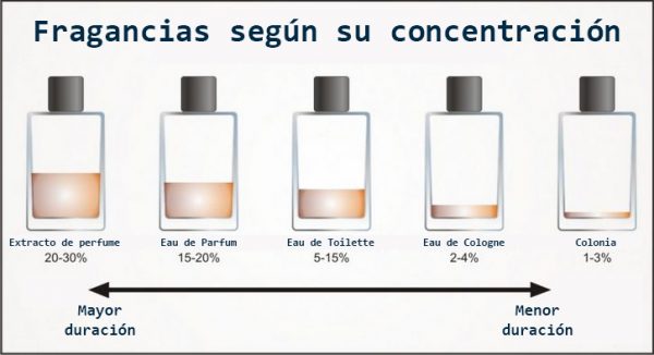 dudas más buscadas de perfumes